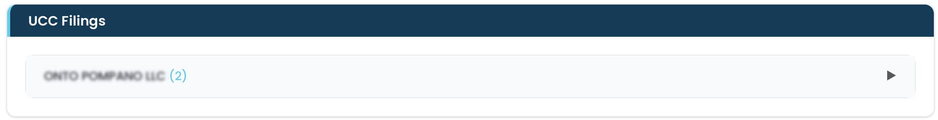 UCC filings detail